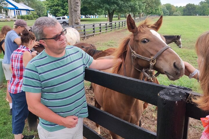 Half-Day Thoroughbred Horse Farm Tour in Kentucky