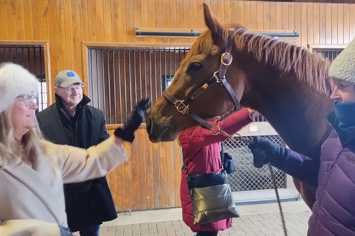 Half-Day Thoroughbred Horse Farm Tour in Kentucky