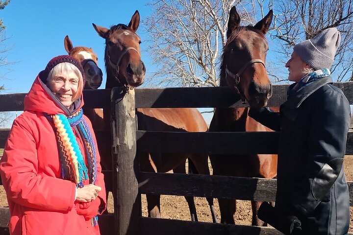 Half-Day Thoroughbred Horse Farm Tour in Kentucky