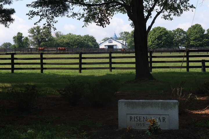 Half-Day Thoroughbred Horse Farm Tour in Kentucky