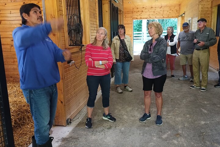 Half-Day Thoroughbred Horse Farm Tour in Kentucky