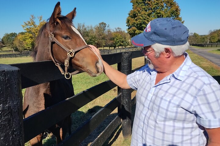 Half-Day Thoroughbred Horse Farm Tour in Kentucky