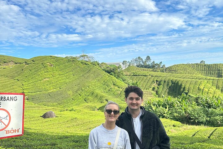 Cameron Highland Private Day Tour From Ipoh