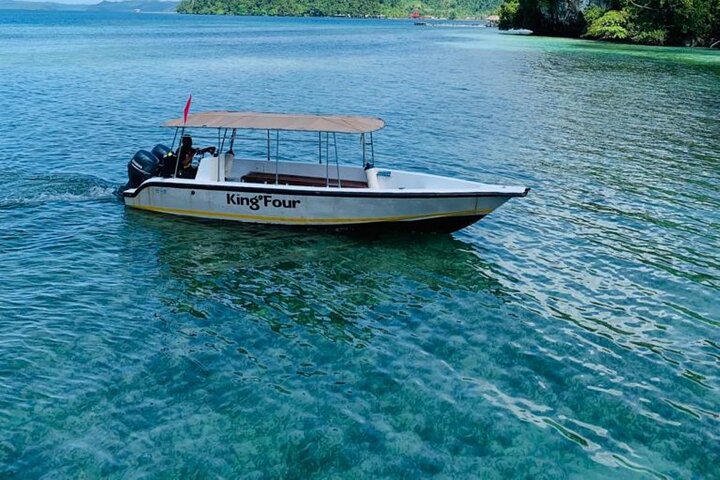 1-day Piaynemo Raja Ampat Tour hopping Island depart from sorong