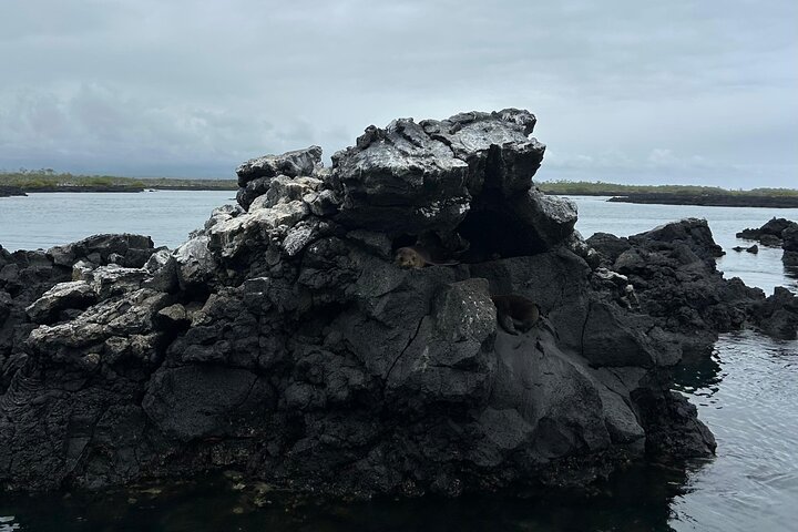Tour Tunnels Cabo Rosa in Isla Isabela Galapagos
