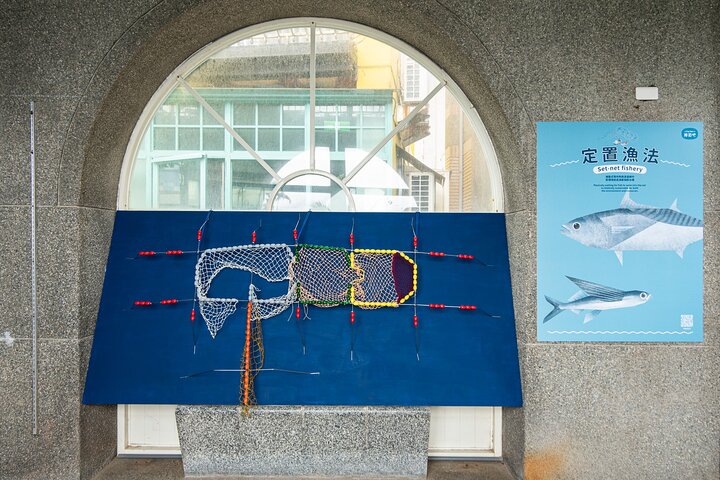 Fun Fish Touching at Qixingtan