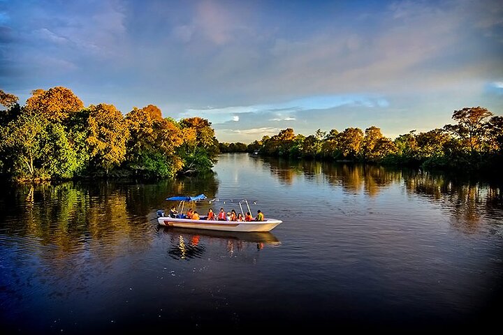 Klias Mangrove Wildlife and Fireflies