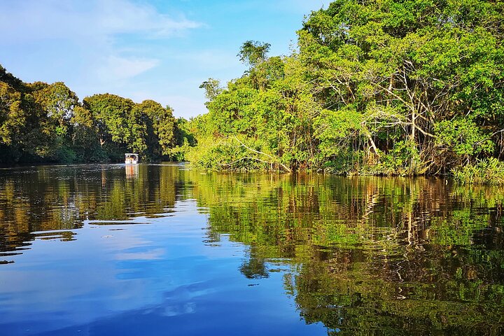 Klias Mangrove Wildlife and Fireflies