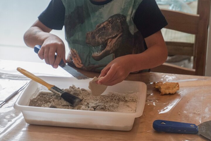 Small Paleontologists : scientific adventure com museu e escavação