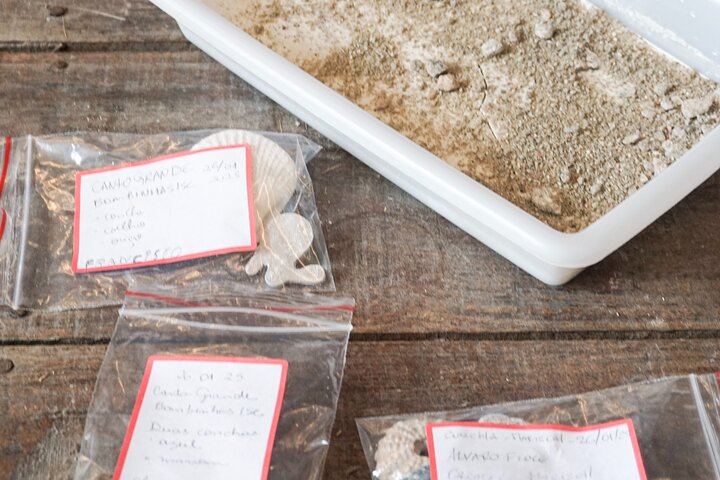 Small Paleontologists : scientific adventure com museu e escavação