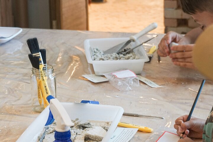 Small Paleontologists : scientific adventure com museu e escavação