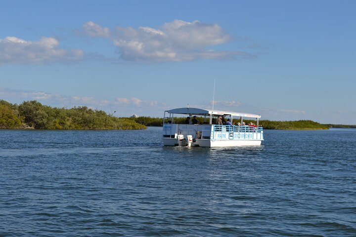 Discovery Dolphin Boat Tour