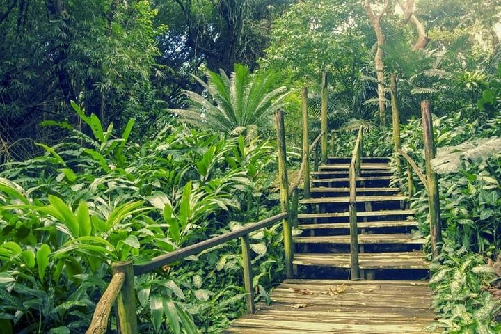 Fiji Lautoka Shore Excursions Tour