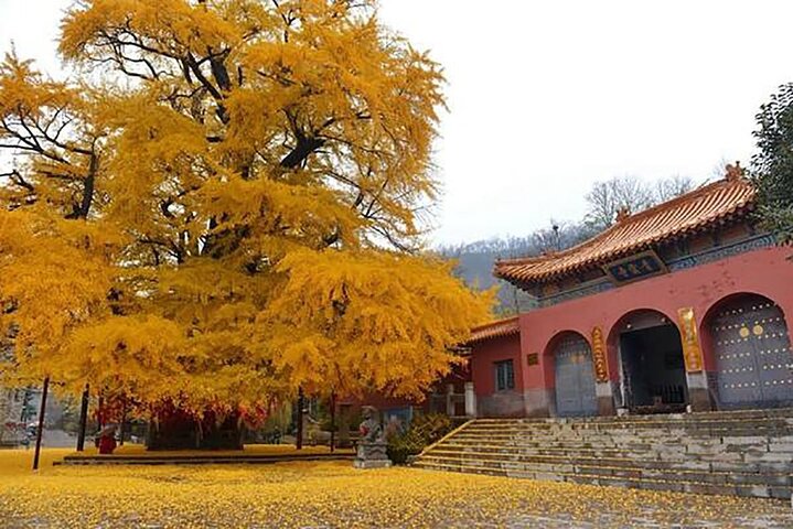Luoyang Private 4WD Tour Adventure