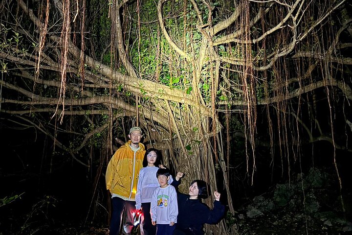 Okinawa Miyako Jungle&Starry Sky tour Free Pick up and Drop off