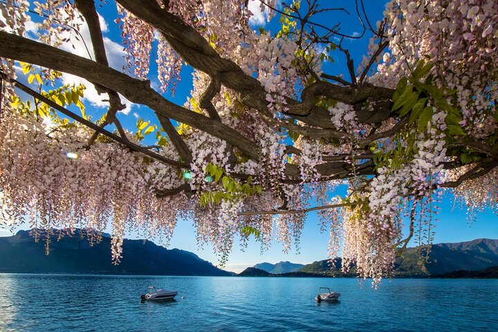 Tour to Como, Bellagio & Lugano from Milan with Lake Como Cruise