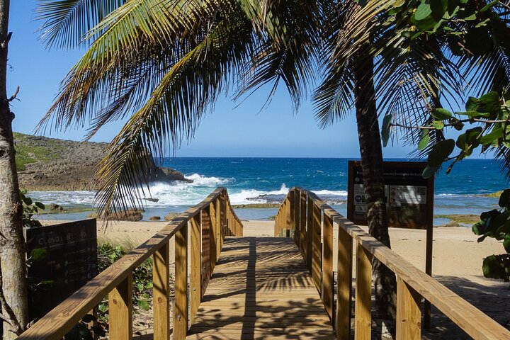 Cueva del Indio and Charco Azul Cave and Waterfall Adventure