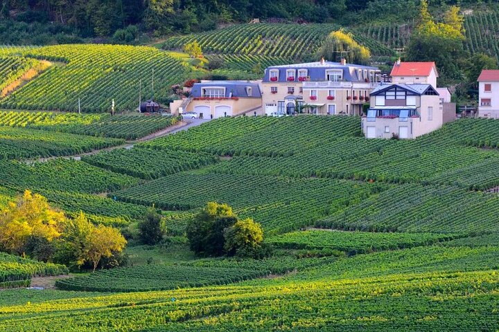 Epernay South Half Day Visit and Champagne Tastings