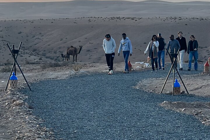 Camel Ride at Sunrise with Breakfast in Agafay Desert