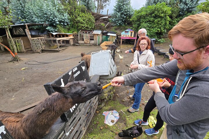 Quito to Cuenca 4 or 5-Day Tour with Cotopaxi, Quilotoa, Baños and Chimborazo