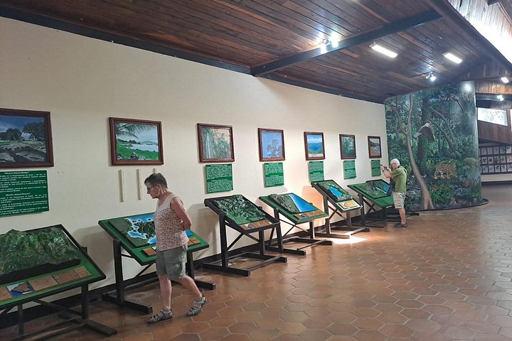 Granada Colonial City Tour and Masaya Volcano