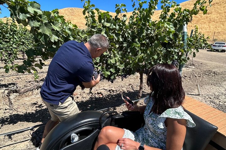 The Luxe Wine Trail Excursion Paso Robles
