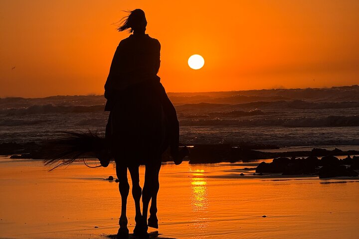 Horseback Riding in Essaouira - Essaouira HorseRiding