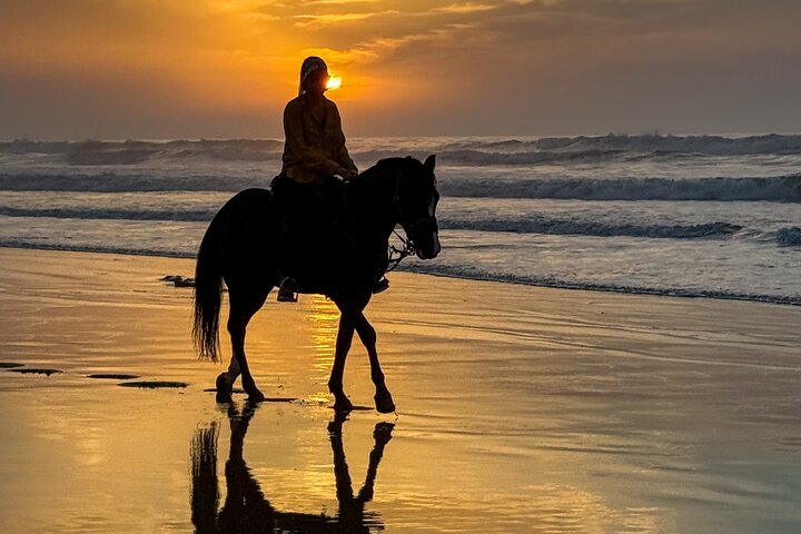 Horseback Riding in Essaouira - Essaouira HorseRiding
