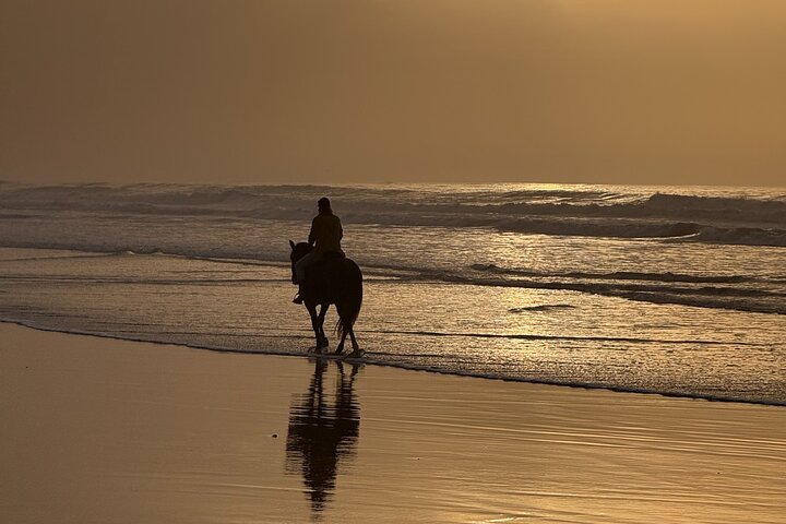 Horseback Riding in Essaouira - Essaouira HorseRiding