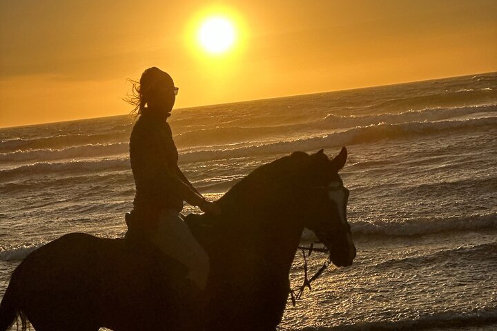 Horseback Riding in Essaouira - Essaouira HorseRiding