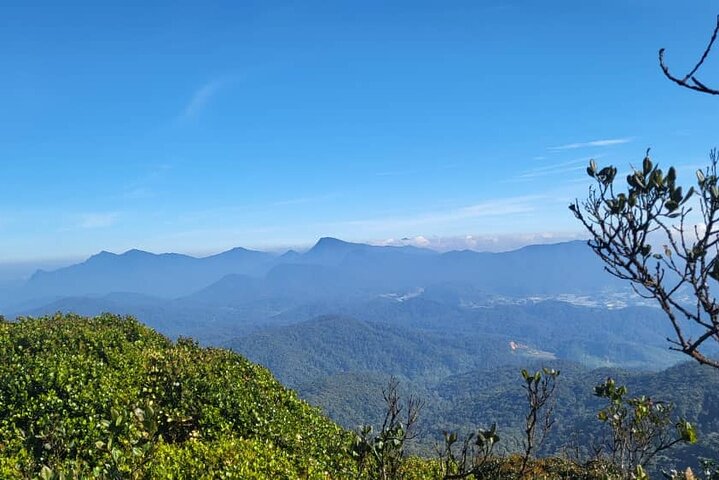 Cameron Highlands Private Day Tour from Ipoh, Package B