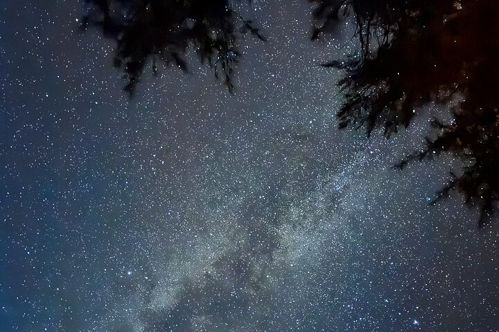 Okinawa Miyako Jungle&Starry Sky tour Free Pick up and Drop off