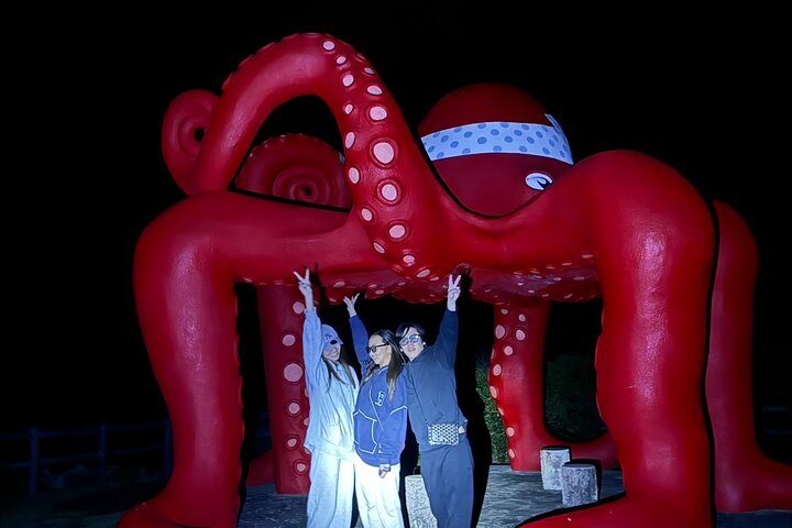 Okinawa Miyako Jungle&Starry Sky tour Free Pick up and Drop off