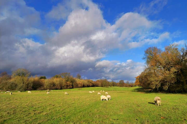 Chawton and Jane Austen Tour