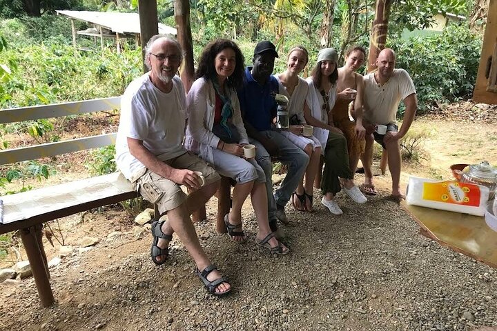 Coffee Farm Tour from Port Antonio