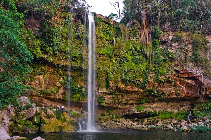 Full Day Tour to Palenque Archaeological Zone with Waterfalls