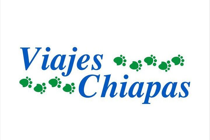 Full Day Tour to Palenque Archaeological Zone with Waterfalls