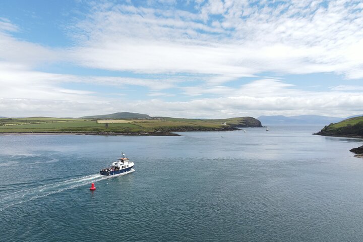 Boat Tour of Dingle Peninsula