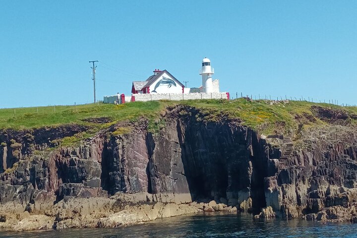 Boat Tour of Dingle Peninsula