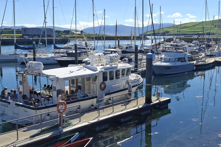 Boat Tour of Dingle Peninsula