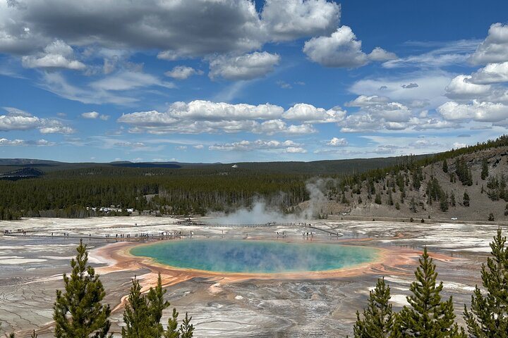 From Bozeman Classic Yellowstone and Teton Tour 2 Day and 1 Night