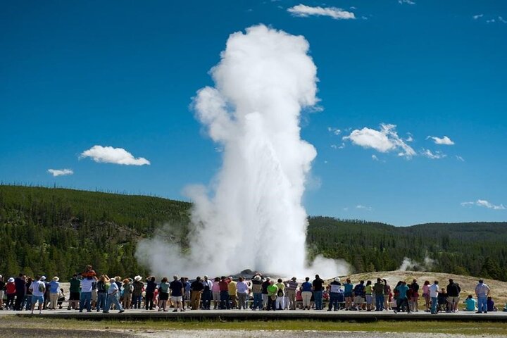 From Bozeman Classic Yellowstone and Teton Tour 2 Day and 1 Night