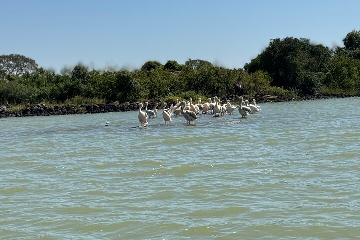 Day Trip Bahir Dar, Lake Tana and Blue Nile Falls Tours
