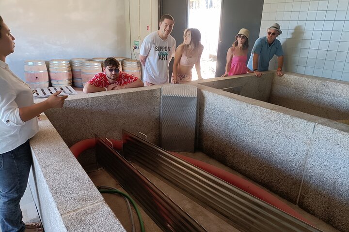 Wine Class Portugal wines in a small farm with a visit to the winery