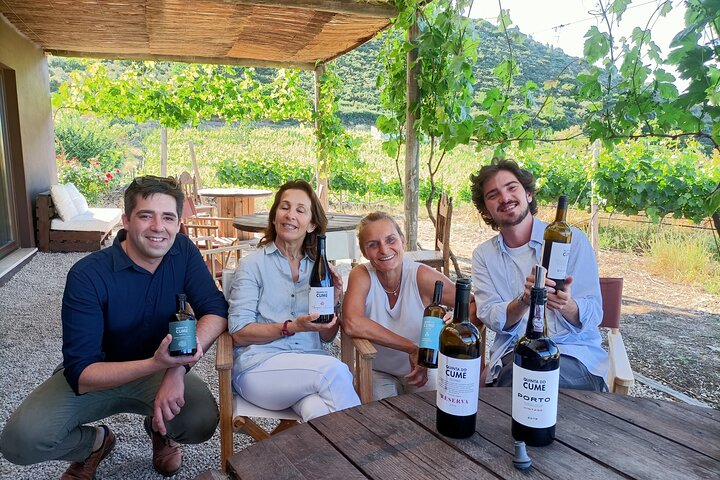 Wine Class Portugal wines in a small farm with a visit to the winery