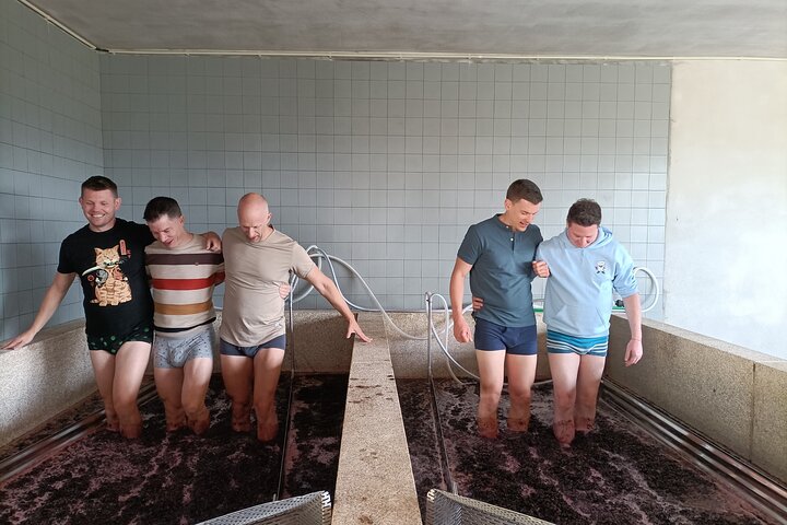 Wine Class Portugal wines in a small farm with a visit to the winery