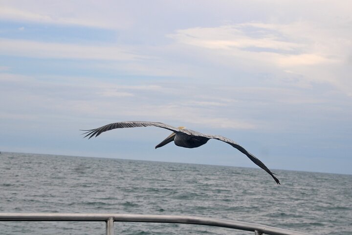 Manuel Antonio Catamaran Cruise Sea Quest