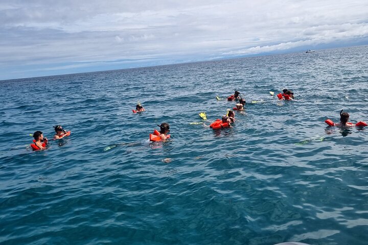 Snorkel tour Canyon island Drake Bay with Lunch