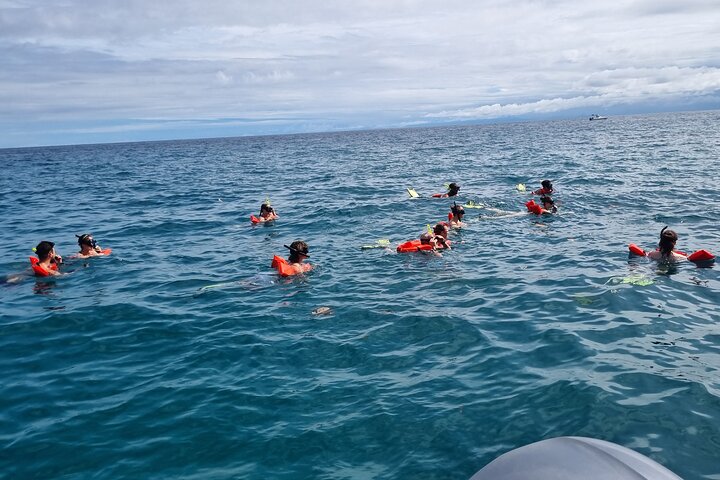 Snorkel tour Canyon island Drake Bay with Lunch