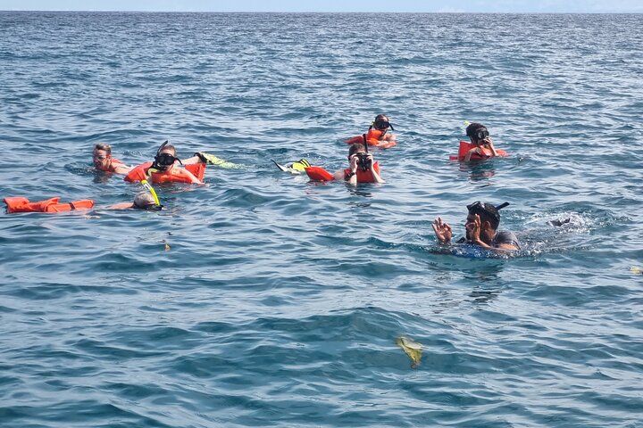Snorkel tour Canyon island Drake Bay with Lunch
